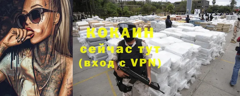 сколько стоит  Горнозаводск  Cocaine FishScale 